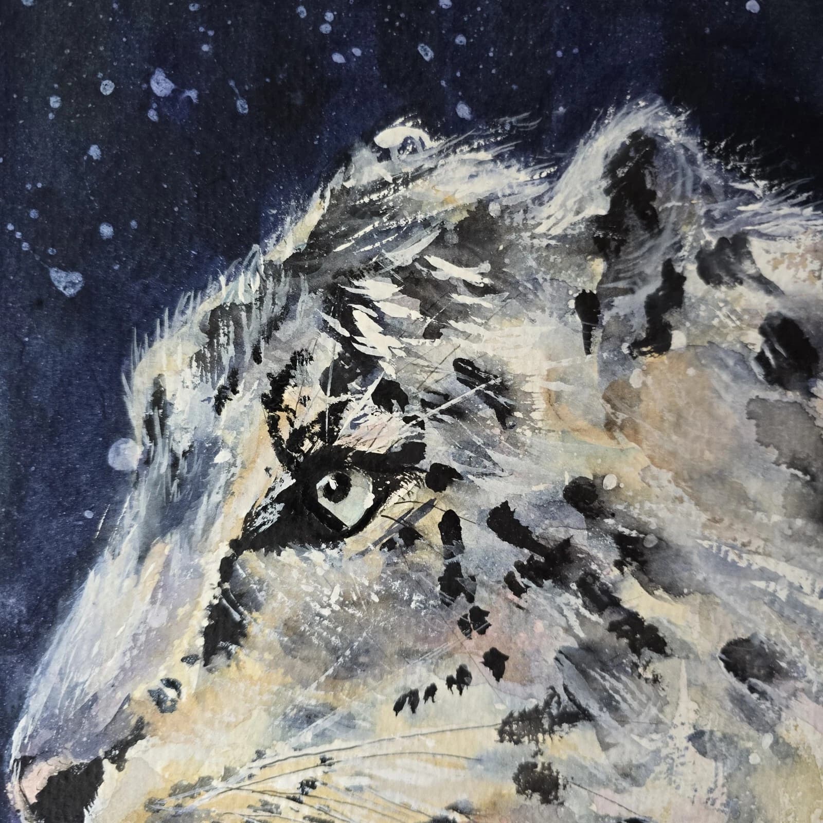 Snow Leopard Dramatic Watercolour Painting Framed thumbnail 9