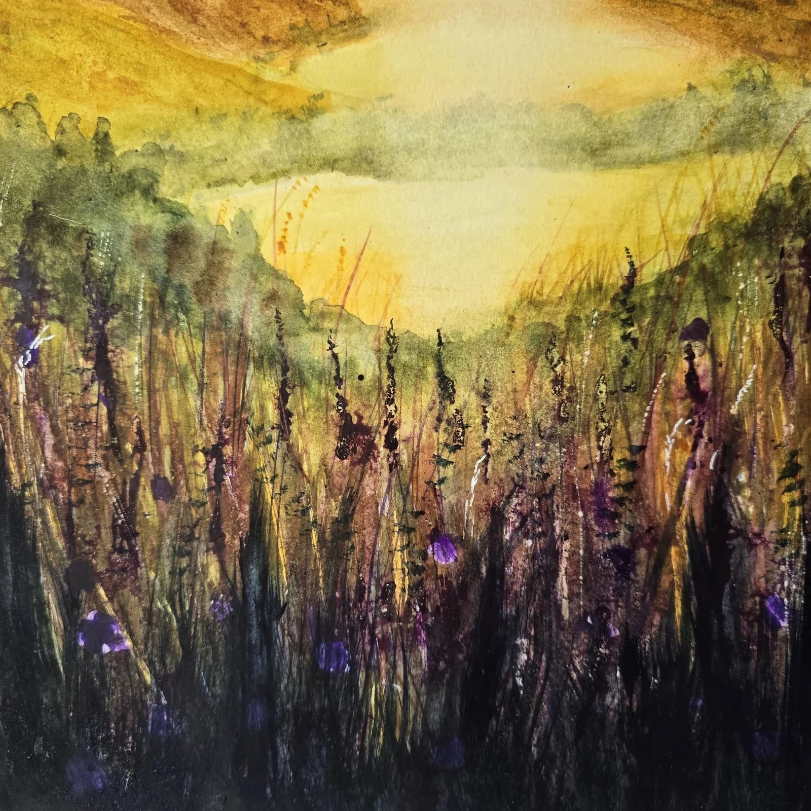 Sunset Highland Landscape Watercolour Painting Birds Framed thumbnail 12