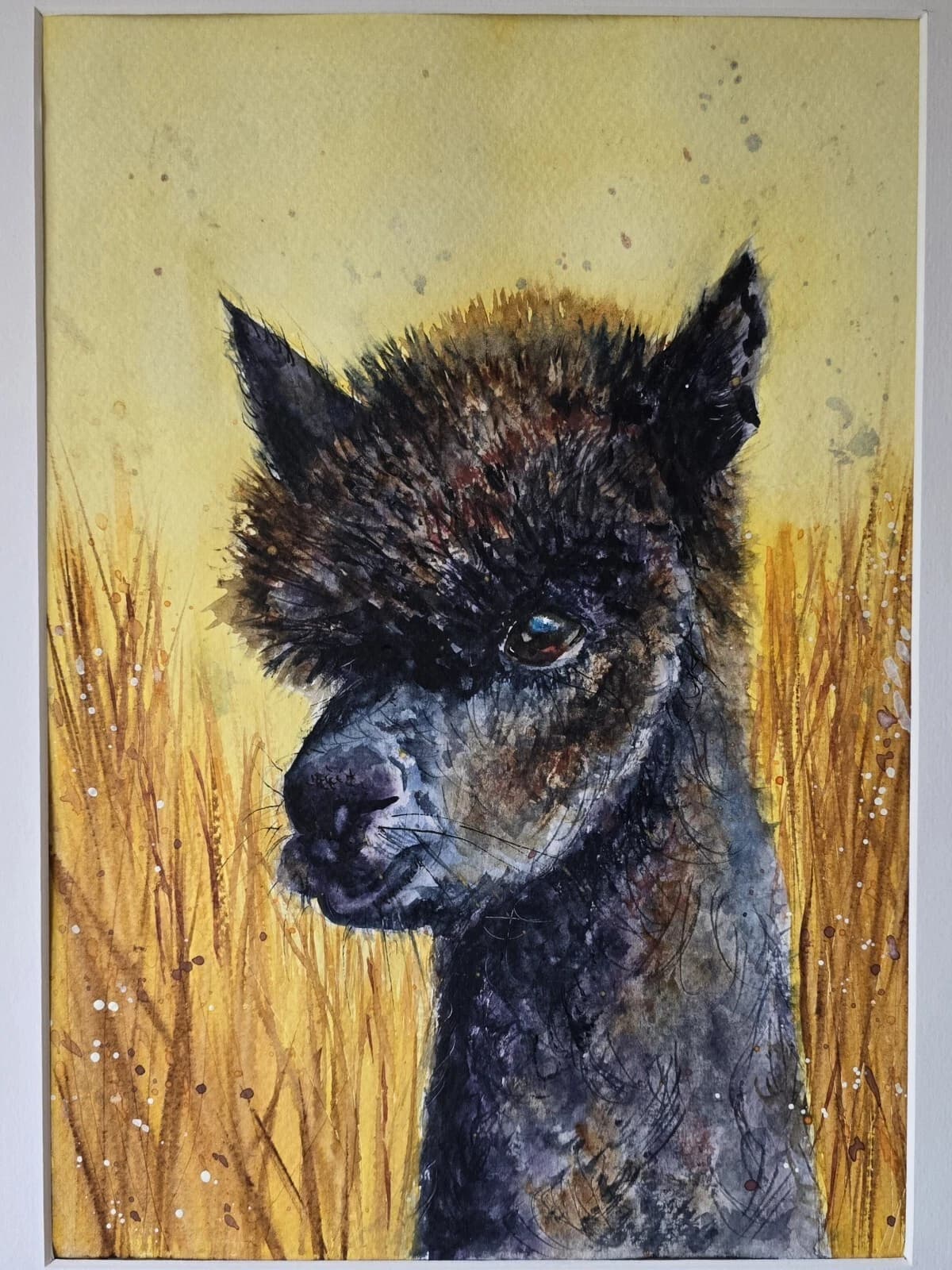Watercolour Painting Alpaca Portrait Head Framed thumbnail 2