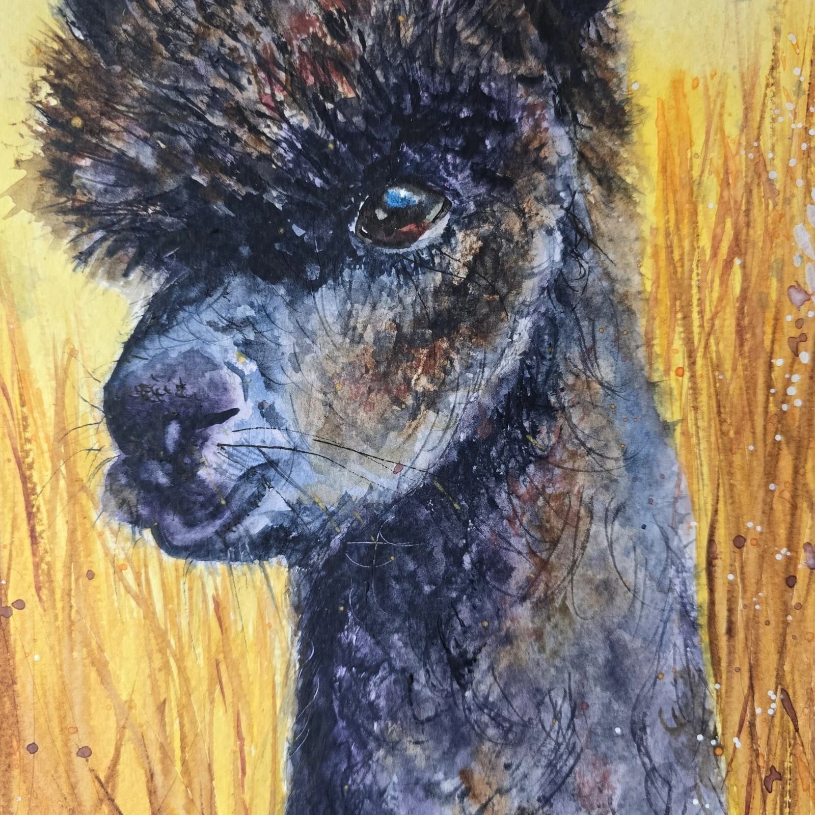 Watercolour Painting Alpaca Portrait Head Framed thumbnail 11