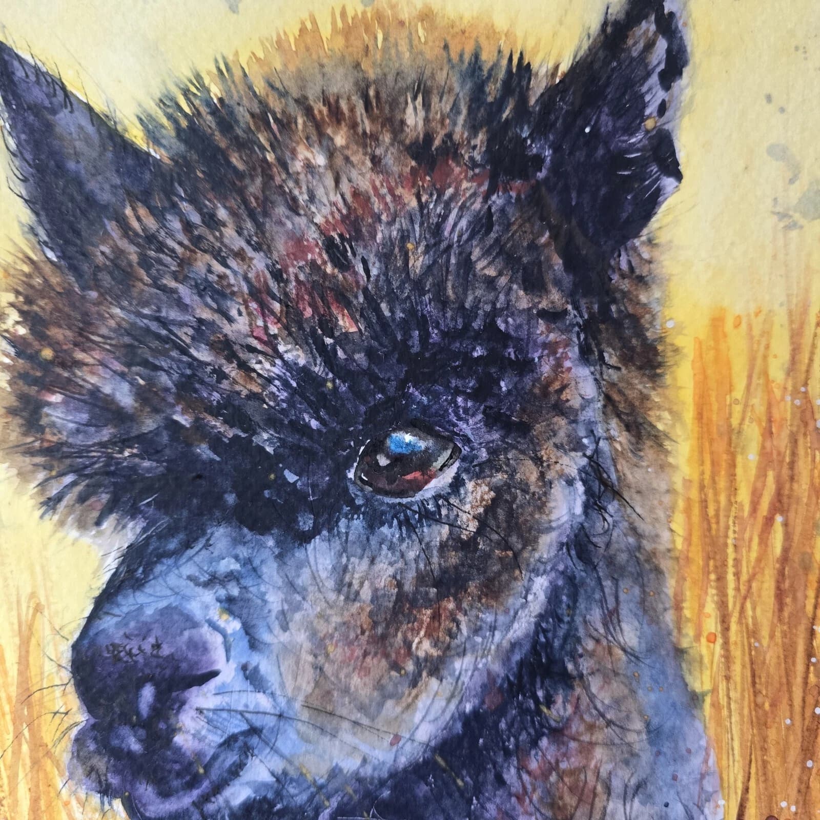 Watercolour Painting Alpaca Portrait Head Framed thumbnail 9