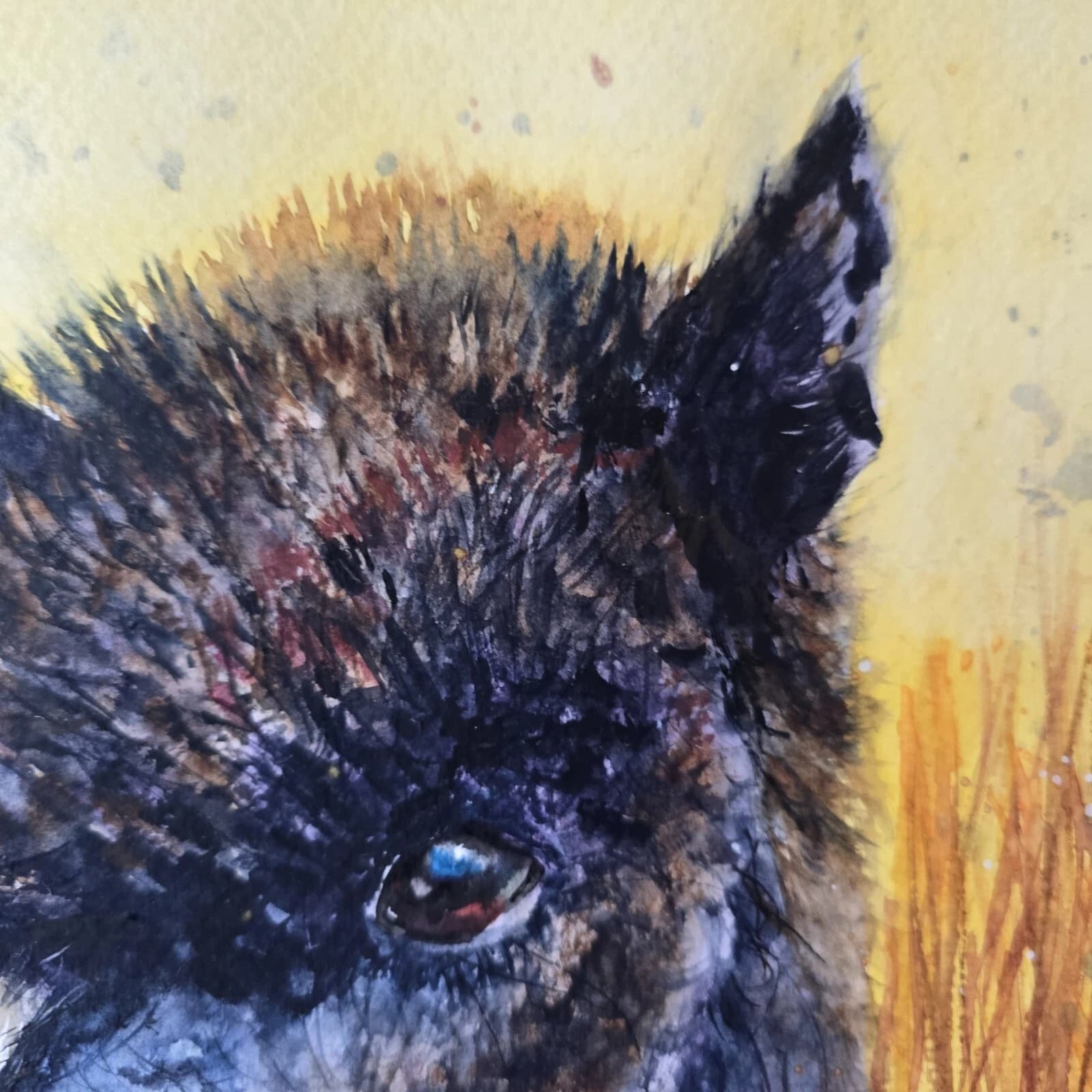 Watercolour Painting Alpaca Portrait Head Framed thumbnail 10