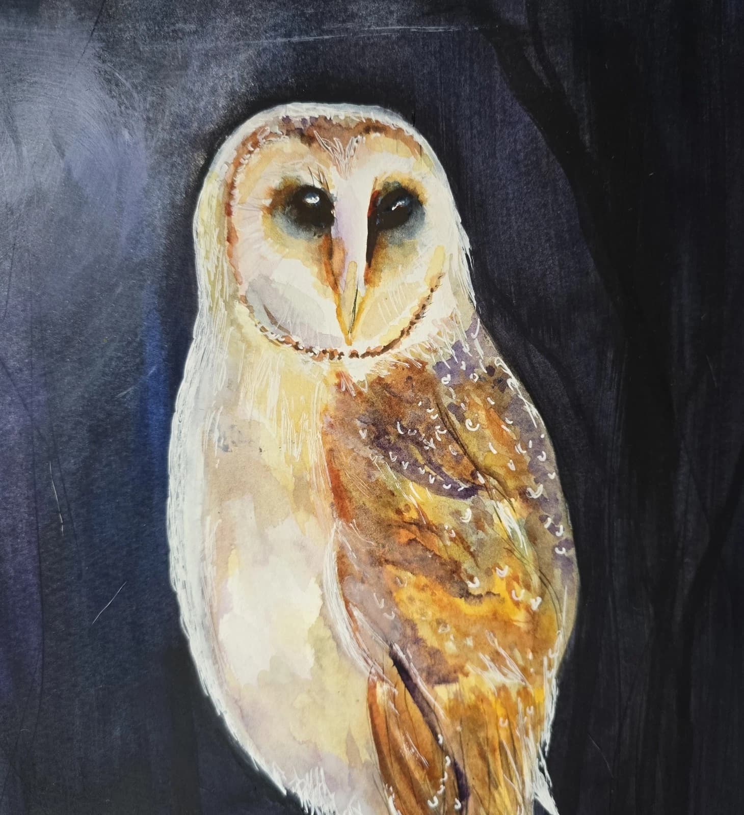 Watercolour Painting Barn Owl Bird Wildlife Art thumbnail 15