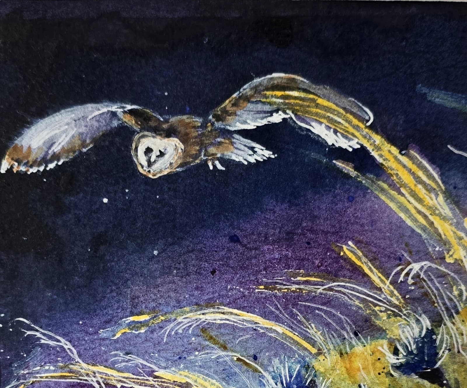 Watercolour Painting Barn Owl In Flight Cornflowers Framed thumbnail 13