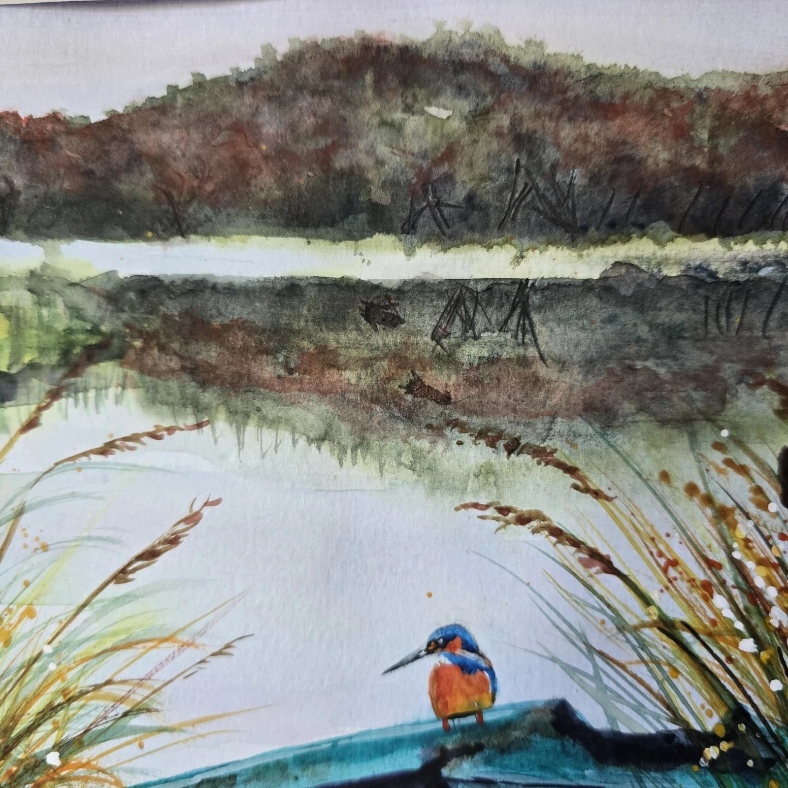 Watercolour Painting Boat Kingfisher Reeds Bullrushes Lake Framed thumbnail 8