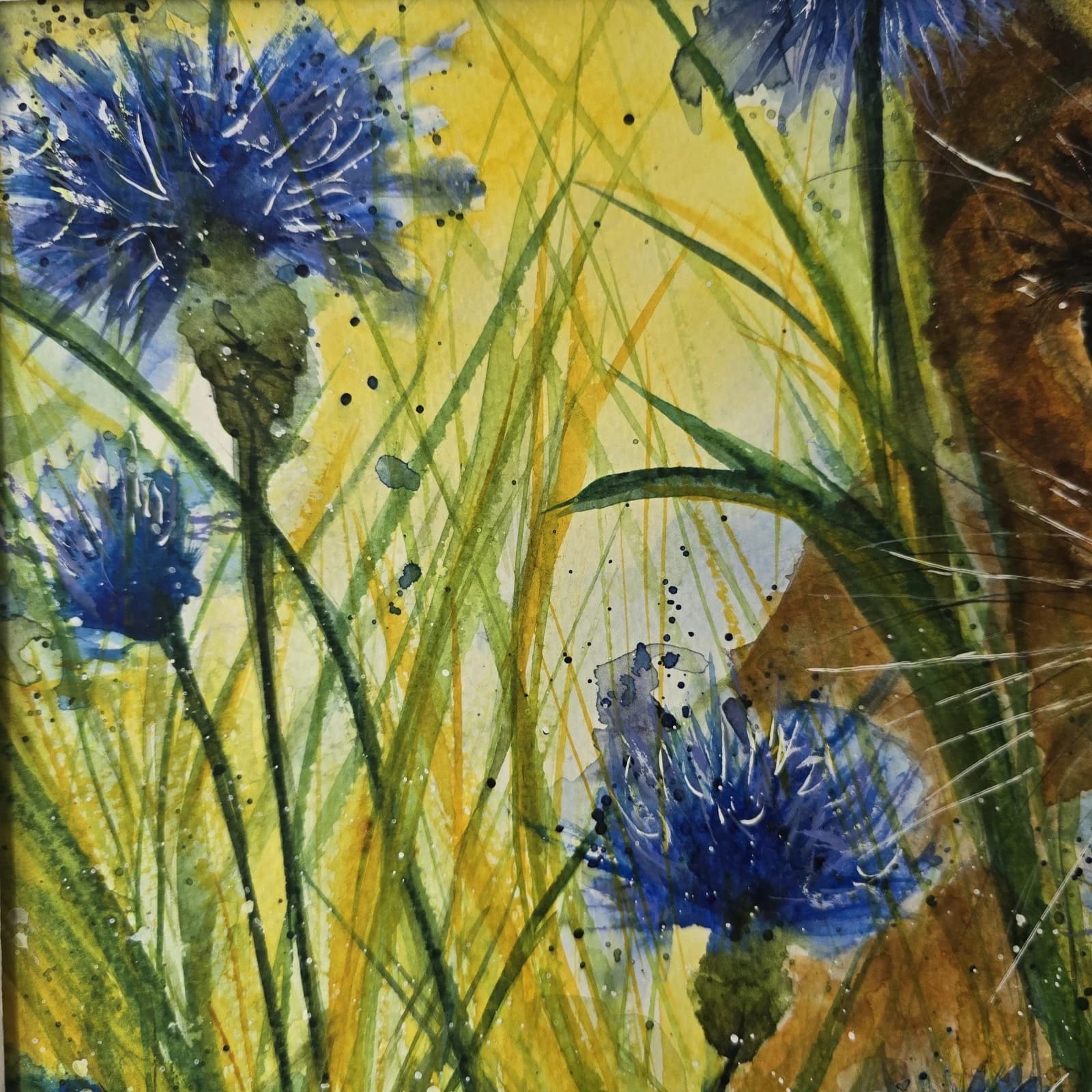 Watercolour Painting Floral Cornflowers Spring Cat Framed thumbnail 12