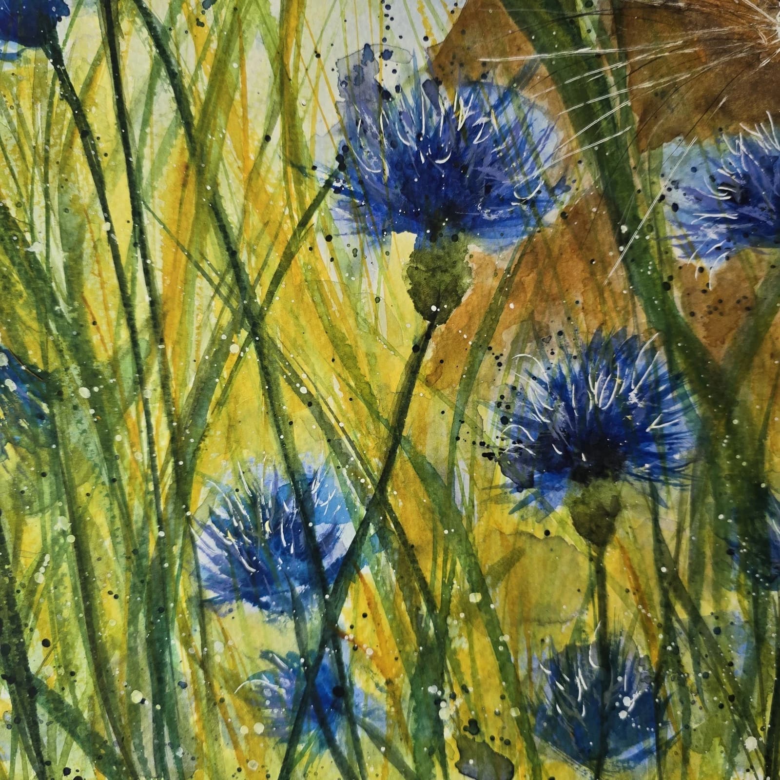 Watercolour Painting Floral Cornflowers Spring Cat Framed thumbnail 13