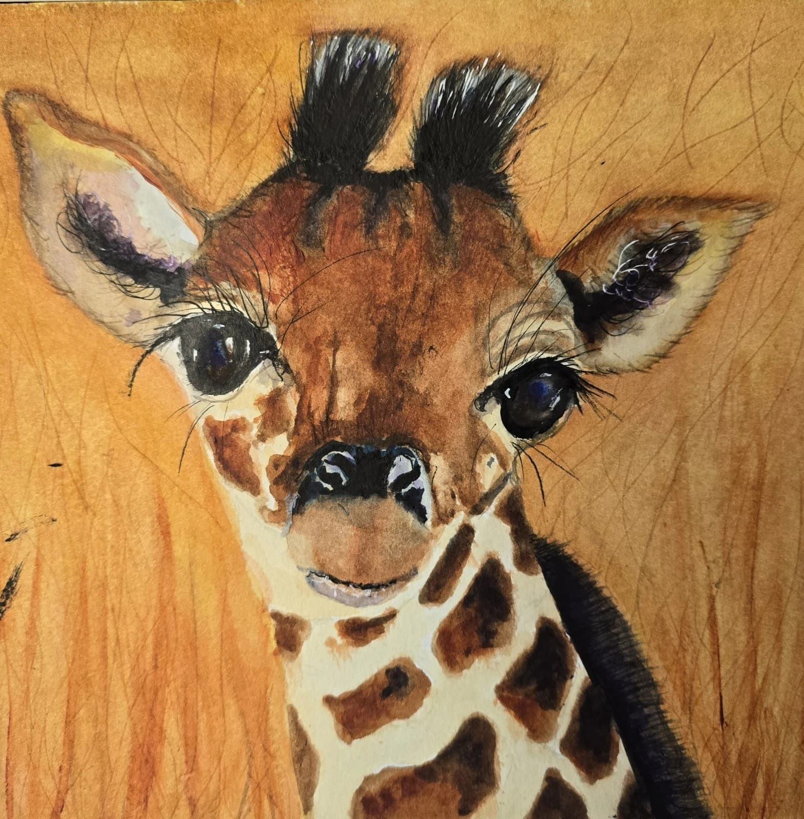 Watercolour Painting Giraffe Calf Baby Portrait Framed Art thumbnail 11