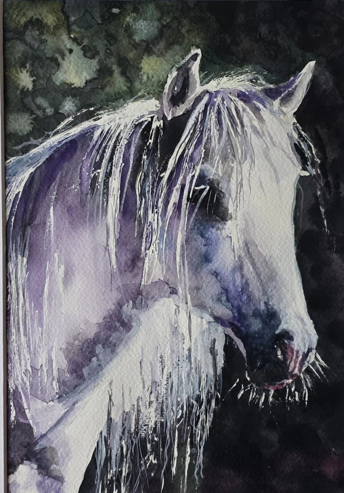 Watercolour Painting Grey White Pony Horse Head Sunlit Framed thumbnail 11