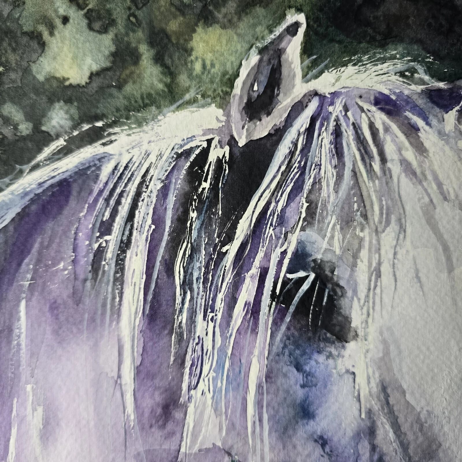 Watercolour Painting Grey White Pony Horse Head Sunlit Framed thumbnail 5