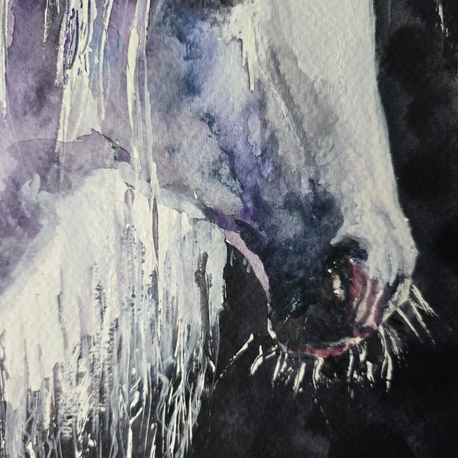Watercolour Painting Grey White Pony Horse Head Sunlit Framed thumbnail 6