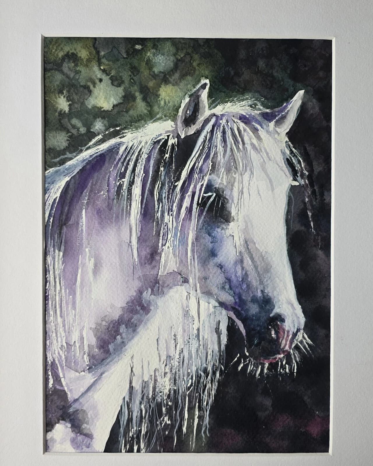 Watercolour Painting Grey White Pony Horse Head Sunlit Framed thumbnail 9