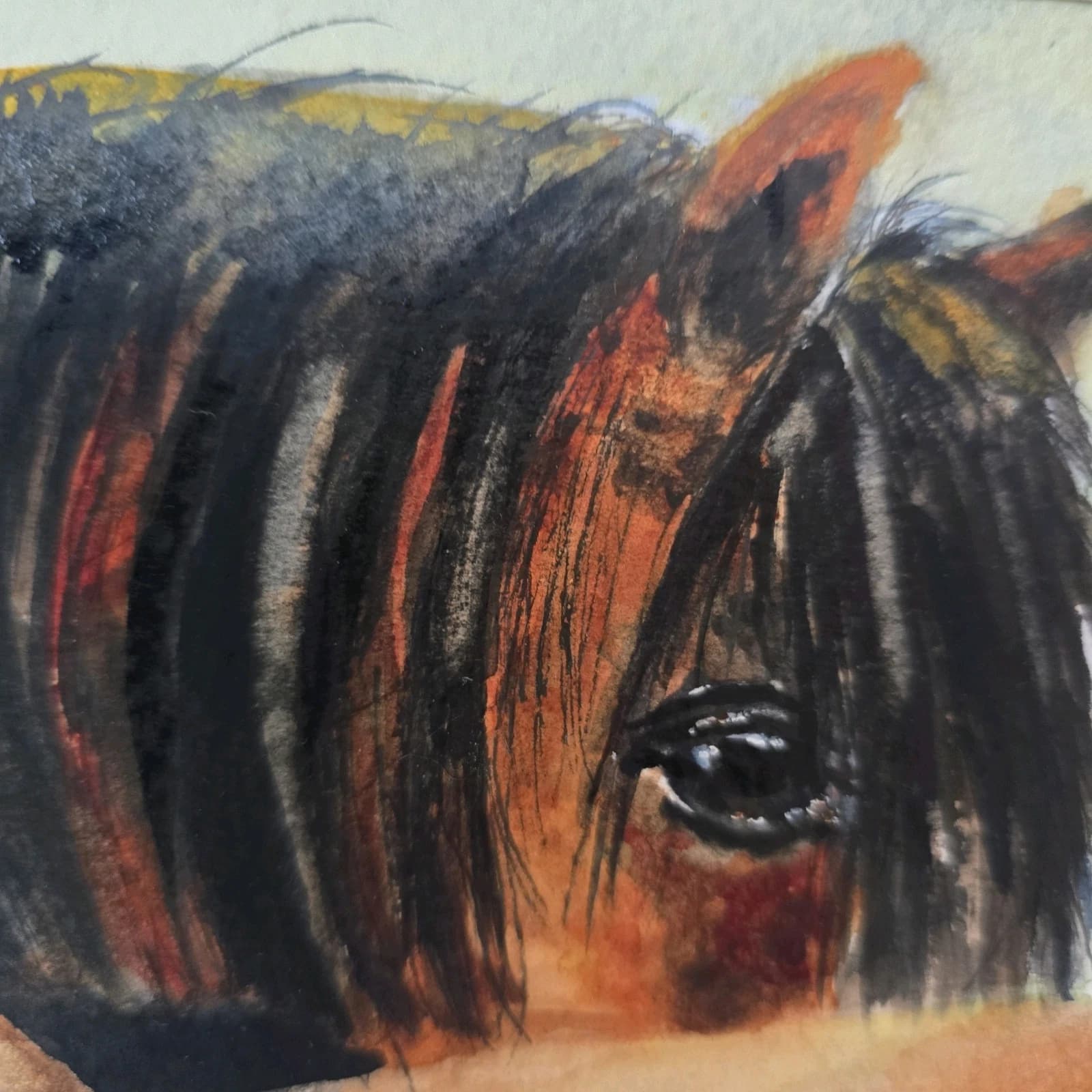 Watercolour Painting Horse Pony Bay Framed thumbnail 11