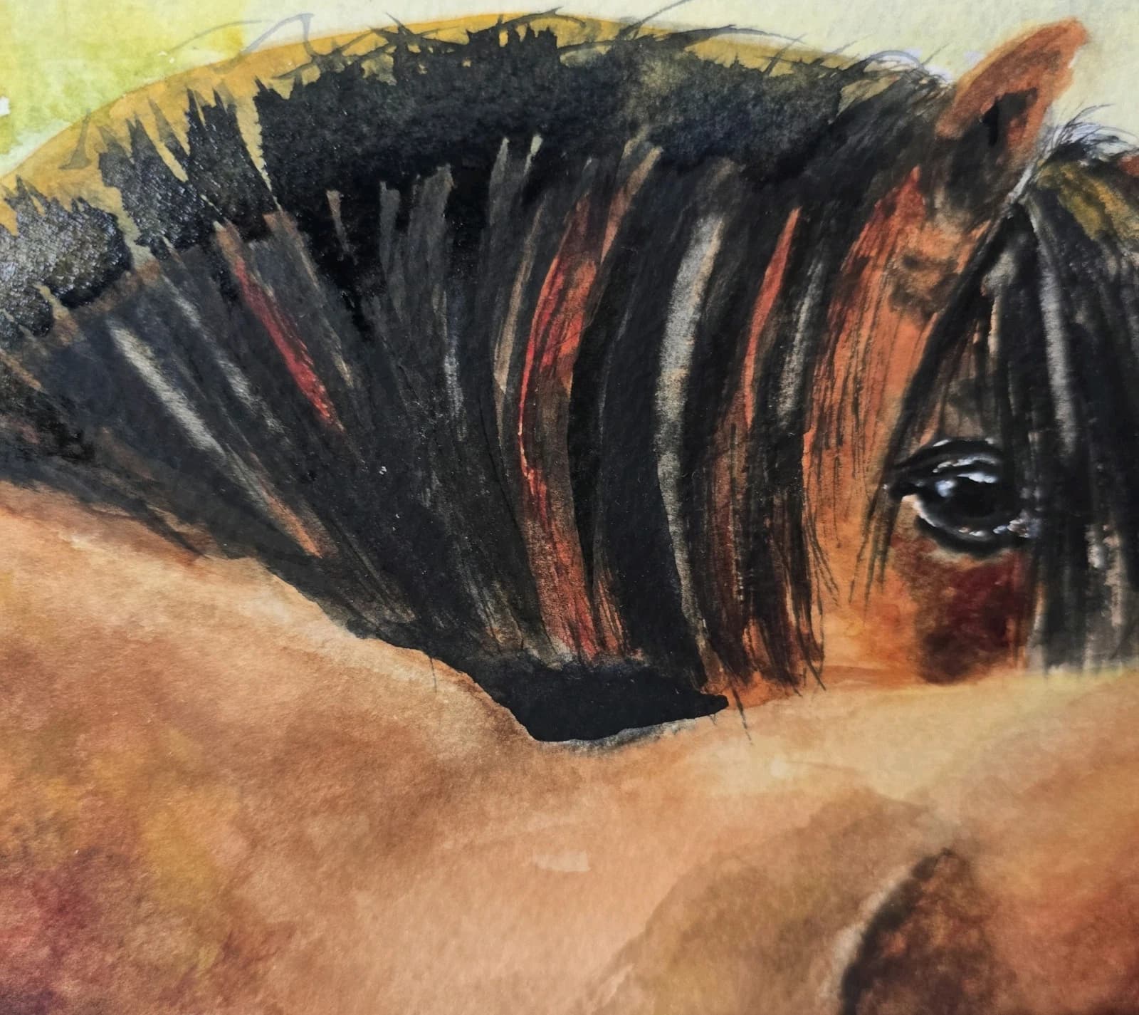 Watercolour Painting Horse Pony Bay Framed thumbnail 12