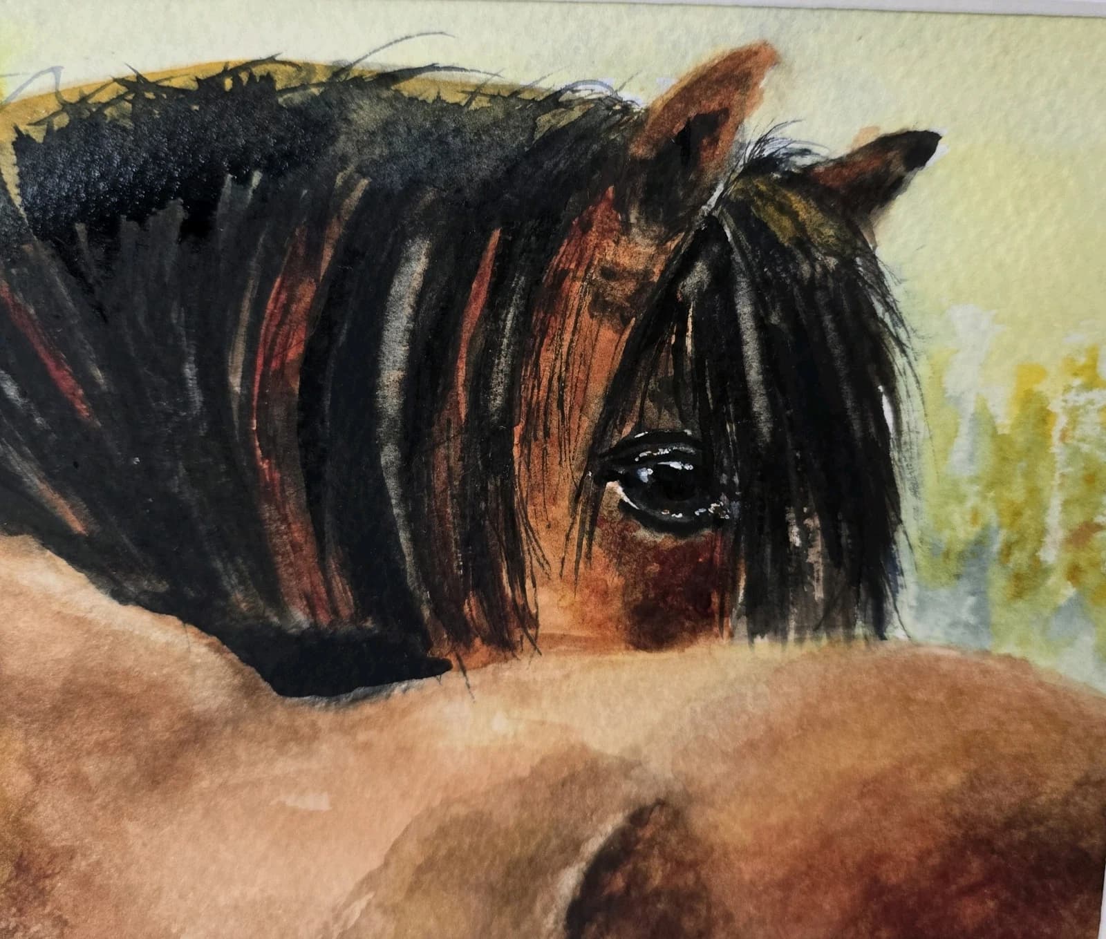Watercolour Painting Horse Pony Bay Framed thumbnail 13