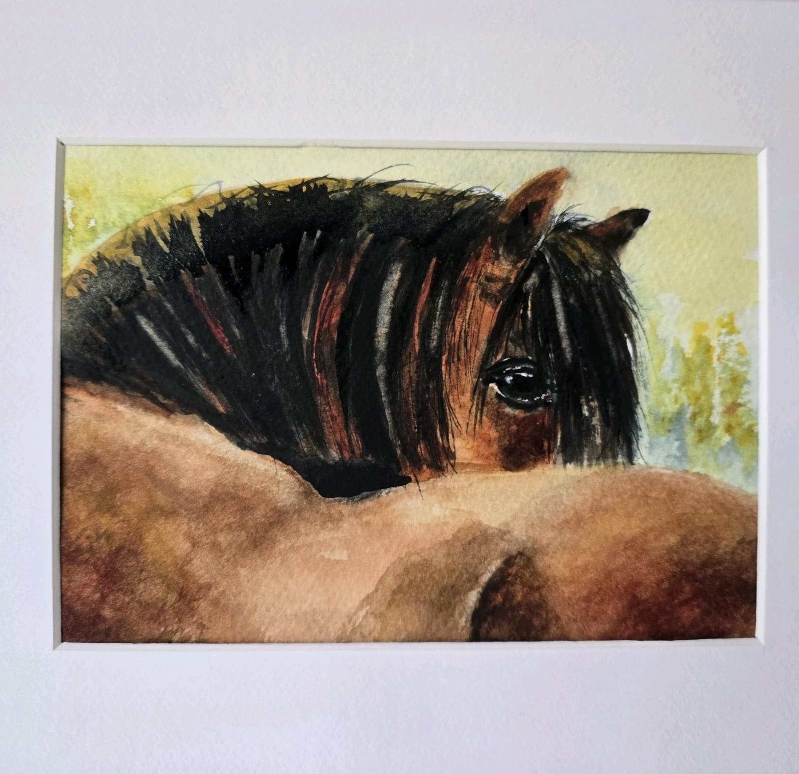 Watercolour Painting Horse Pony Bay Framed thumbnail 15