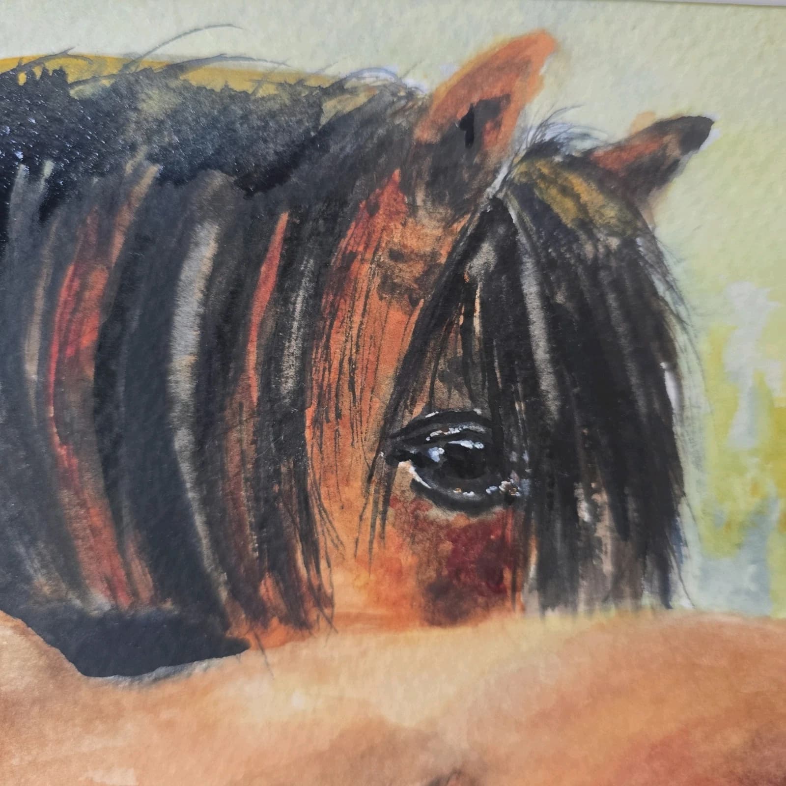 Watercolour Painting Horse Pony Bay Framed thumbnail 9