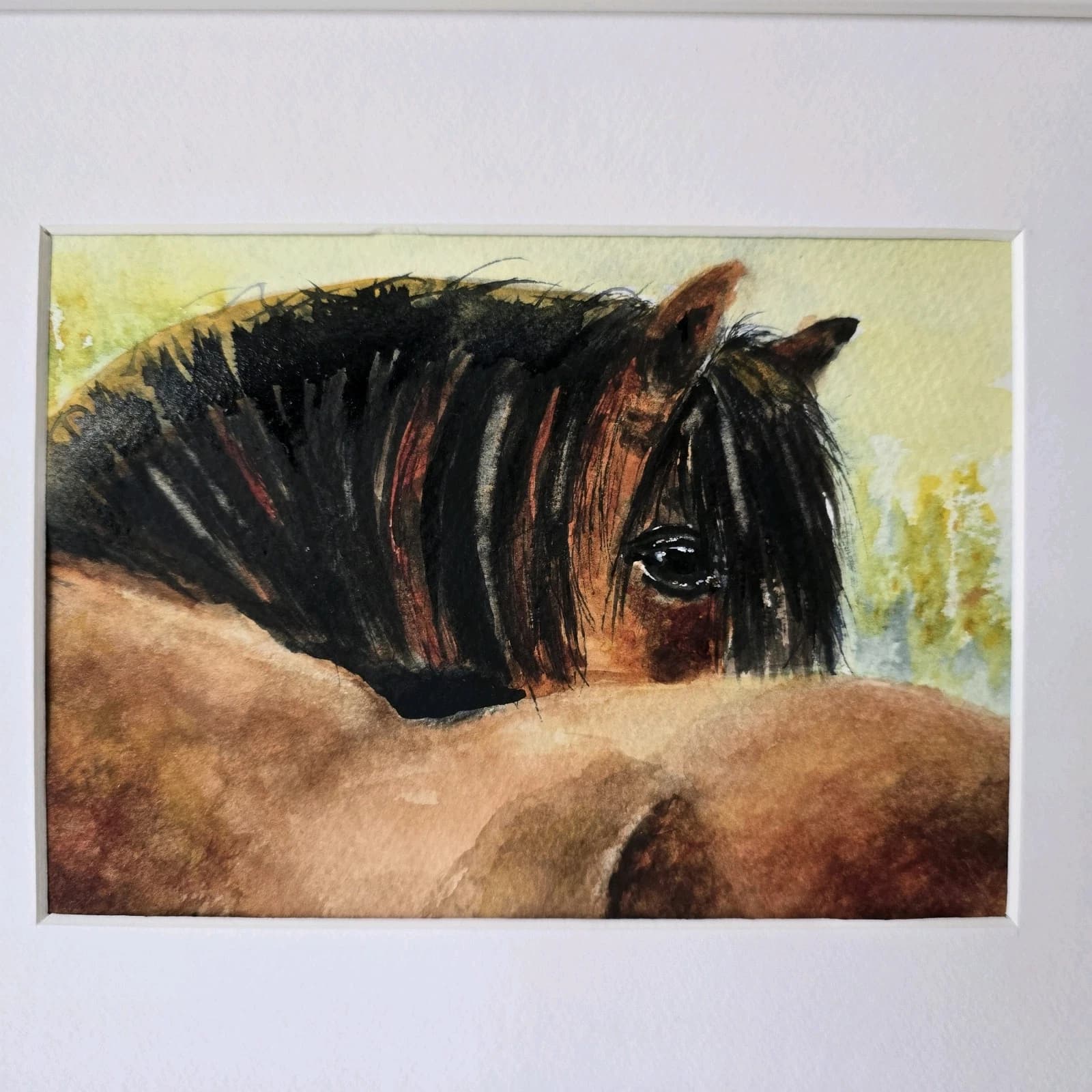 Watercolour Painting Horse Pony Bay Framed thumbnail 10