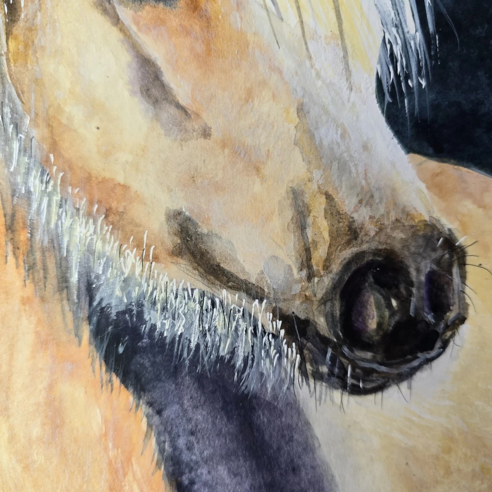 Watercolour Painting Palamino Pony Horse Head thumbnail 16