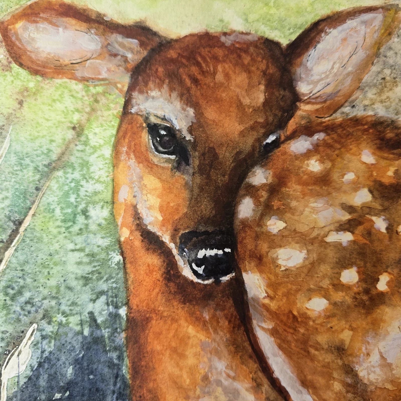 Watercolour Painting Red Dear Fawn Framed thumbnail 11