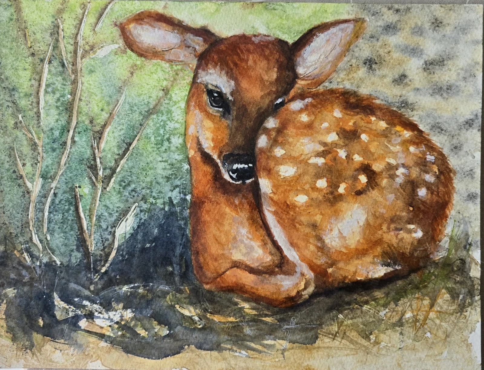 Watercolour Painting Red Dear Fawn Framed thumbnail 13