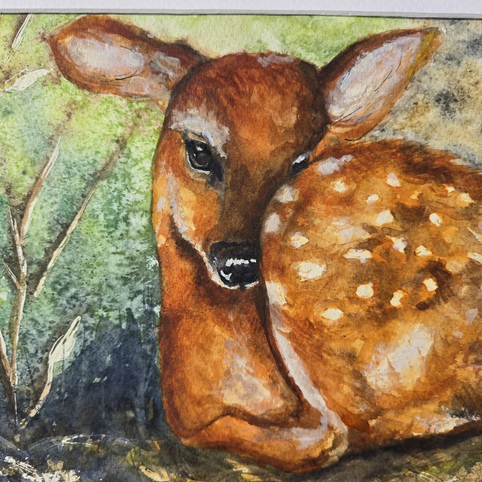 Watercolour Painting Red Dear Fawn Framed thumbnail 14