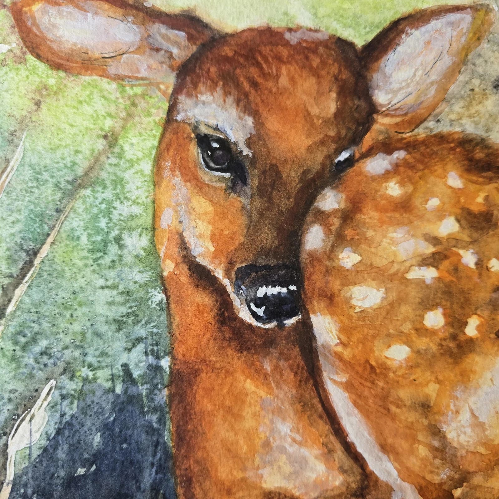 Watercolour Painting Red Dear Fawn Framed thumbnail 15