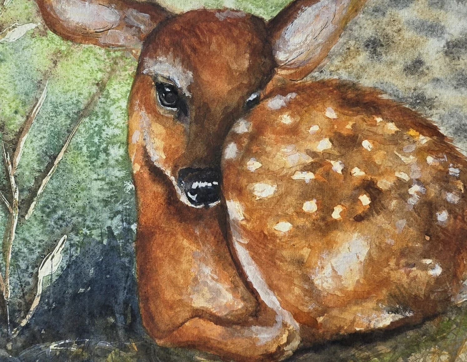 Watercolour Painting Red Dear Fawn Framed thumbnail 16
