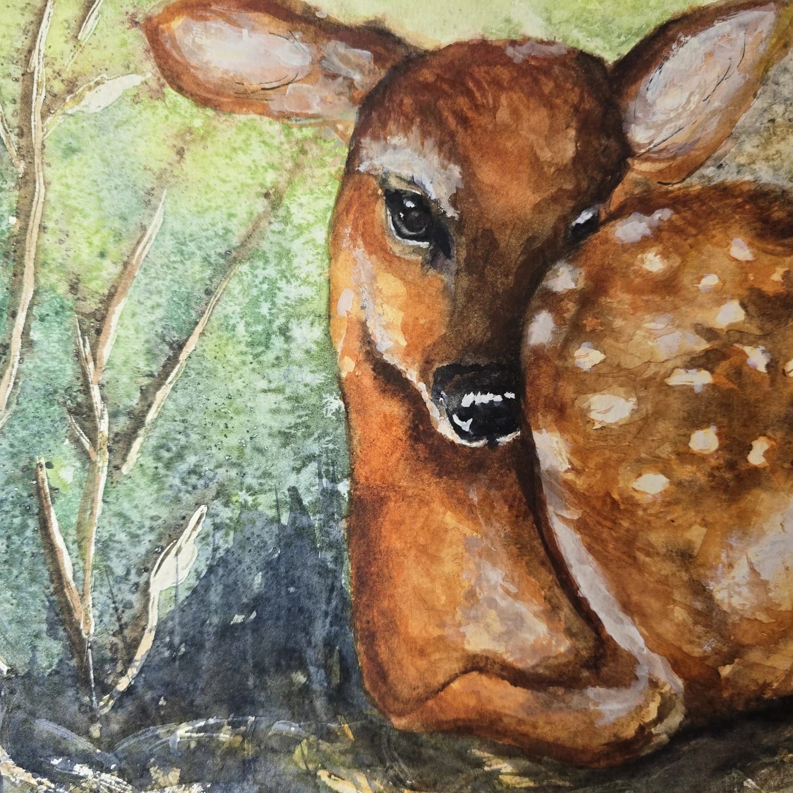 Watercolour Painting Red Dear Fawn Framed thumbnail 10