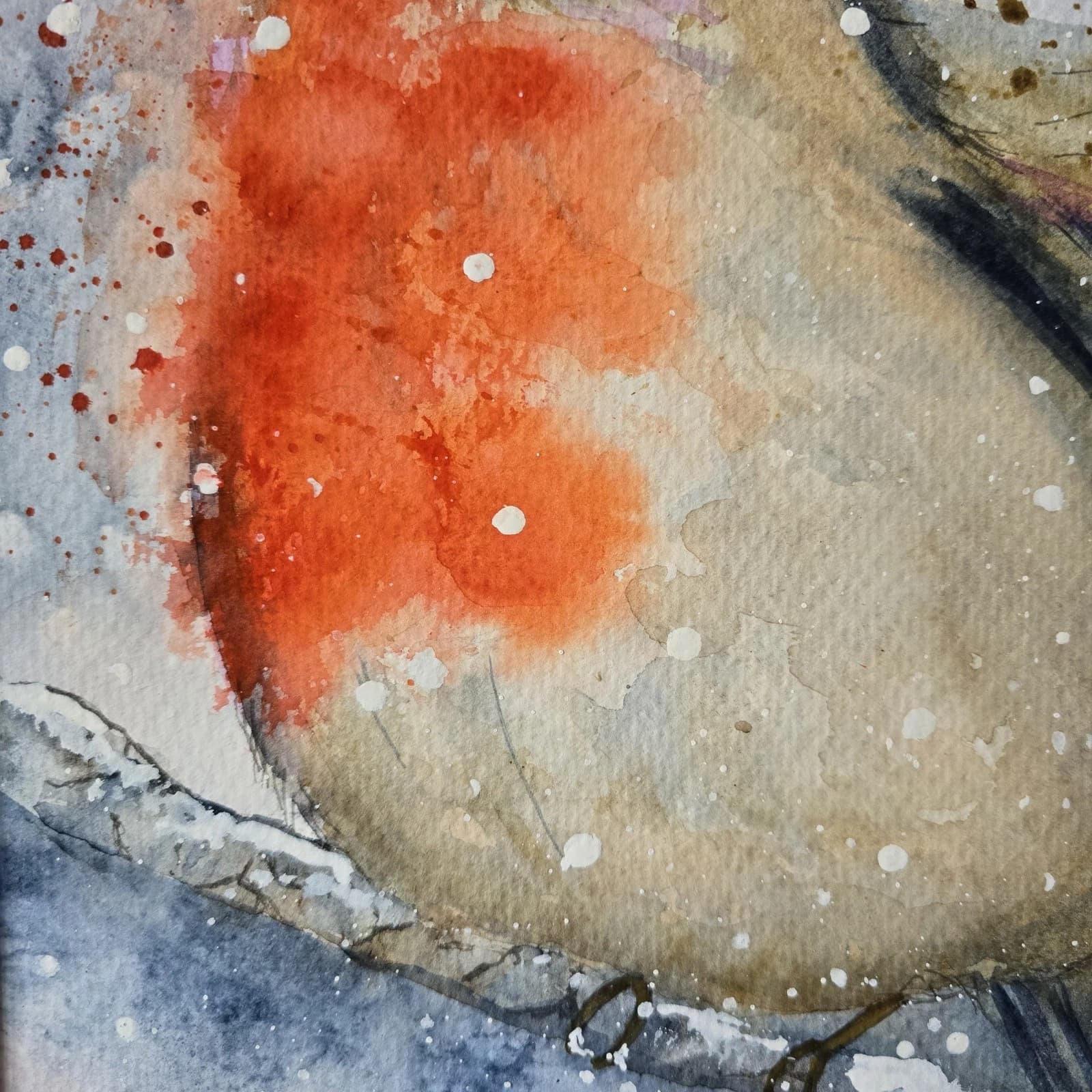 Watercolour Painting Robin Bird Wildlife Art Snow Framed thumbnail 10