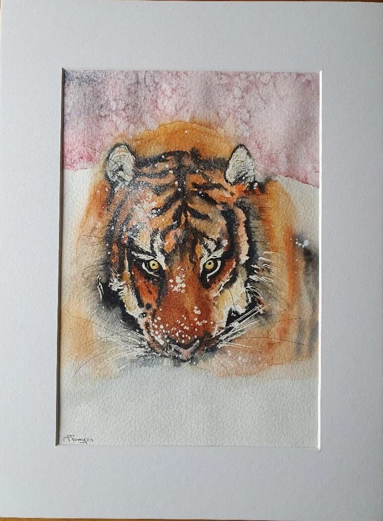 Watercolour Painting Siberian Tiger Snow Framed thumbnail 3