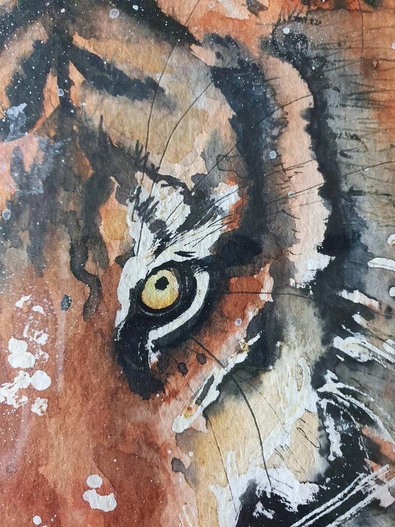 Watercolour Painting Siberian Tiger Snow Framed thumbnail 4