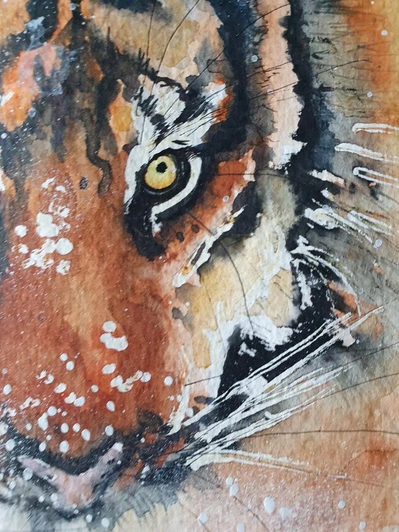 Watercolour Painting Siberian Tiger Snow Framed thumbnail 5