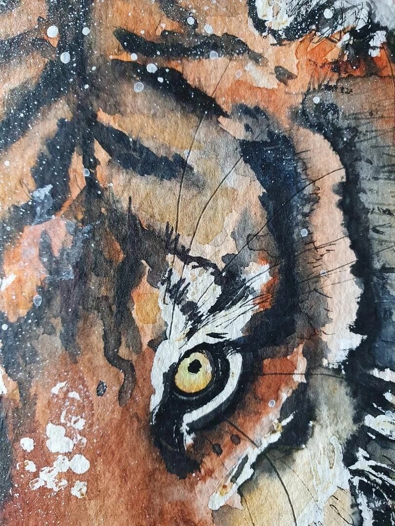 Watercolour Painting Siberian Tiger Snow Framed thumbnail 6